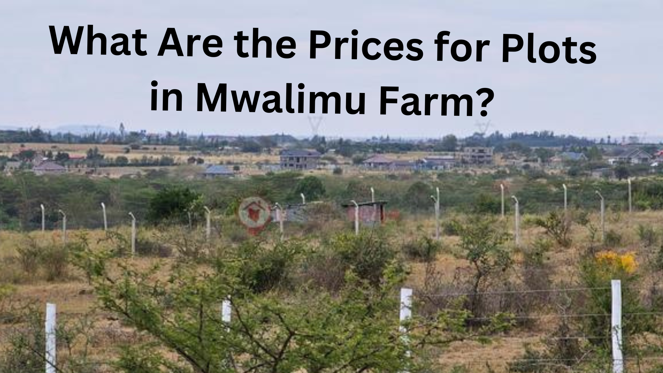 What Are the Prices for Plots in Mwalimu Farm?
Mwalimu Farm Community.