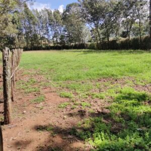 Prime Land for sale in Acre Ithano.